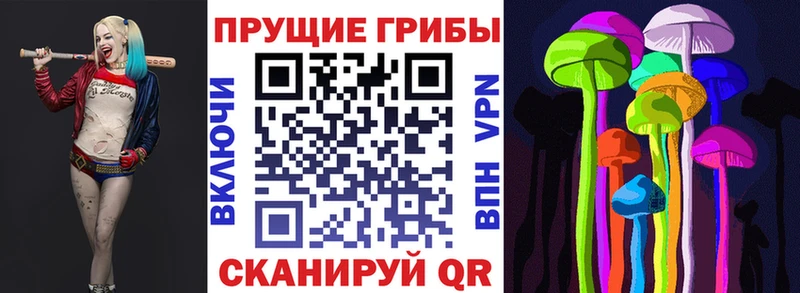 MEGA ТОР  Зверево  Галлюциногенные грибы прущие грибы 